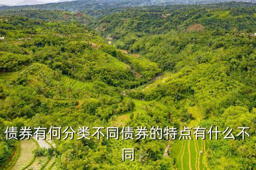債券分為什么，債券是什么