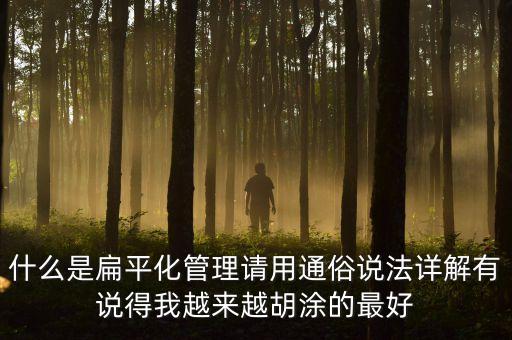 用什么先河，什么是扁平化管理請用通俗說法詳解有說得我越來越胡涂的最好