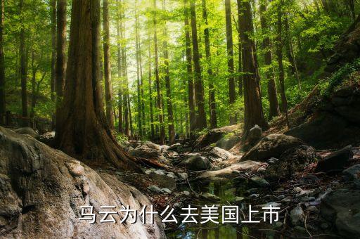 馬云公司什么時(shí)候在美國上市，馬云為何在美國上市