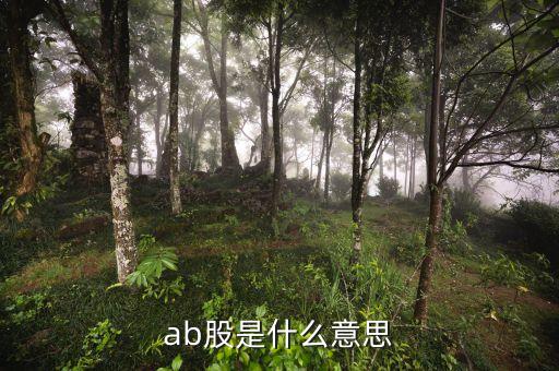 ab股票是什么意思，AB股是什么意思