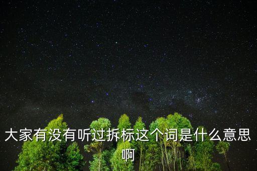 拆標(biāo)是什么意思，P2P平臺拆標(biāo)是什么意思