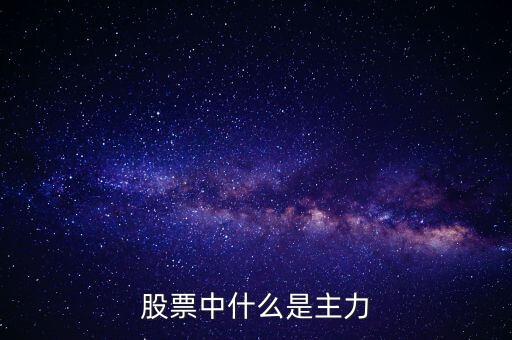 股票什么是主力，股票中的主力是什么意思