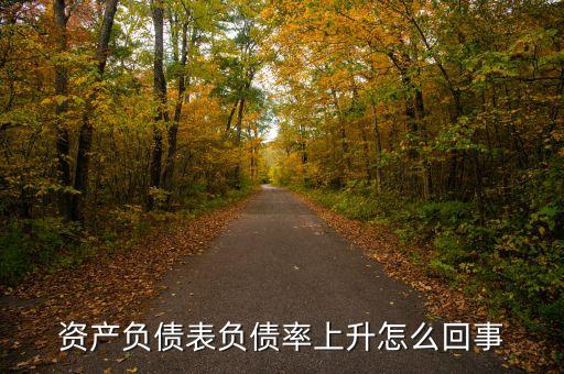 格力電器資產(chǎn)負(fù)債率為什么高，資產(chǎn)負(fù)債表負(fù)債率上升怎么回事
