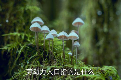 什么是勞動力人口，勞動力人口指的是什么
