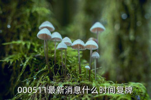 000511最新消息什么時(shí)間復(fù)牌