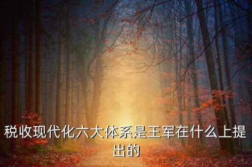 稅收現(xiàn)代化是什么，淺談如何實(shí)現(xiàn)稅收征管現(xiàn)代化