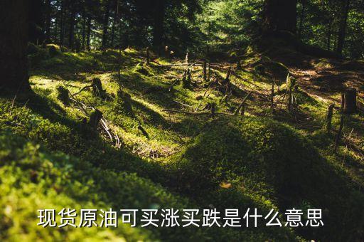 買(mǎi)石油漲叫做什么，原油投資買(mǎi)漲買(mǎi)跌是啥意思