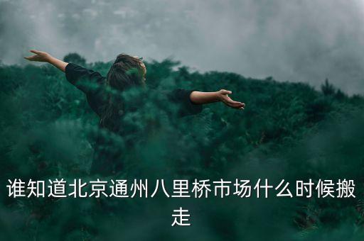 八里橋市場什么時候搬遷，八里橋建材市場拆遷嗎