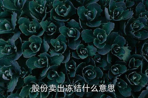 股份賣出凍結(jié)什么意思