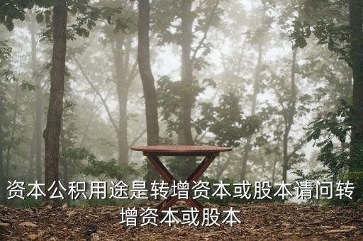 什么叫用資本公積轉增資本，資本公積金轉增資本金是什么意思