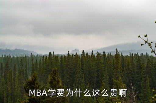 MBA學(xué)費為什么這么貴啊