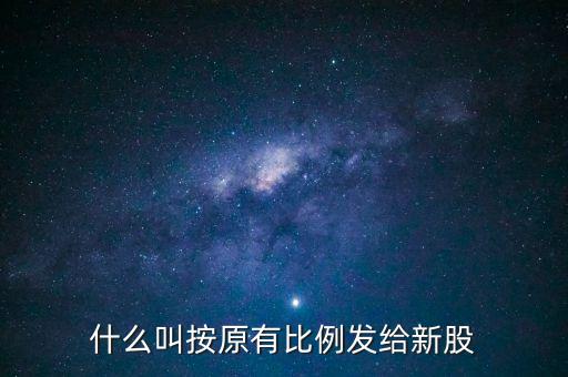 個(gè)人持有比例什么意思，什么叫按原有比例發(fā)給新股