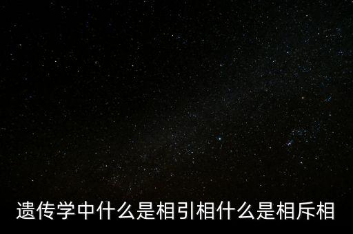 老千股是什么，交警隊(duì)里的交管股是什么部門為什么叫交管股