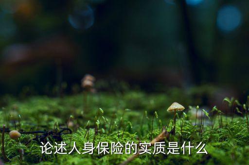 什么是實質(zhì)保障，論述人身保險的實質(zhì)是什么