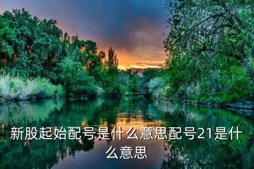 什么叫起始配號，新股起始配號是什么意思配號21是什么意思