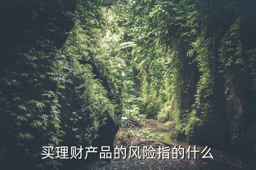 買理財產(chǎn)品的風(fēng)險指的什么