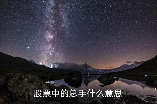 個(gè)股總手是什么意思，股票中的總手什么意思