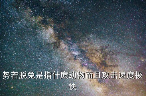 勢若脫免是什么動物，勢若脫兔是形容什么生肖