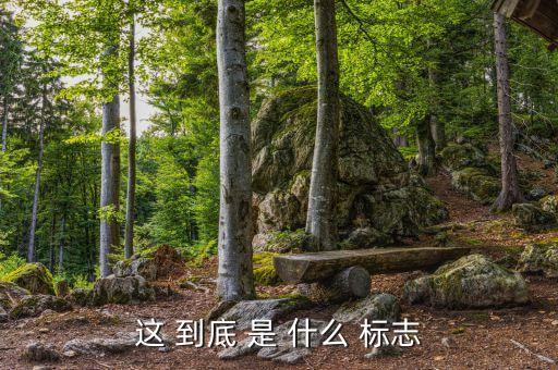 王守兵為什么離開洋河，周筆漲有什么新歌嗎