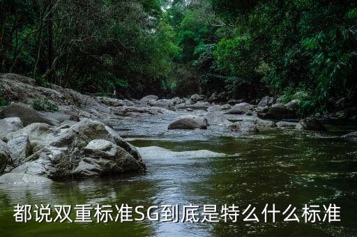 都說雙重標準SG到底是特么什么標準