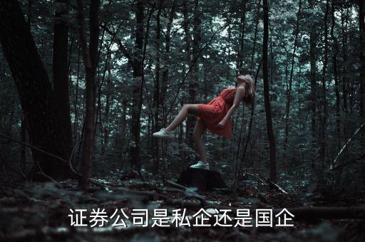 證券公司是私企還是國企