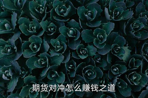 期貨對(duì)沖怎么賺錢(qián)之道
