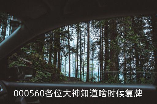茂碩電源什么時間復(fù)牌，今天茂碩電源002660怎么停牌了什么時候開盤
