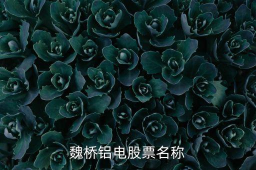 宏橋跟魏橋什么關(guān)系，宏橋中學(xué)怎么退學(xué)費(fèi)