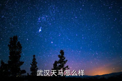 002276公司是做什么的呢，萬馬股份是做什么的