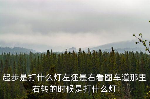 駕駛打右燈和左燈什么意思啊，起步是打什么燈左還是右看圖車道那里右轉(zhuǎn)的時候是打什么燈