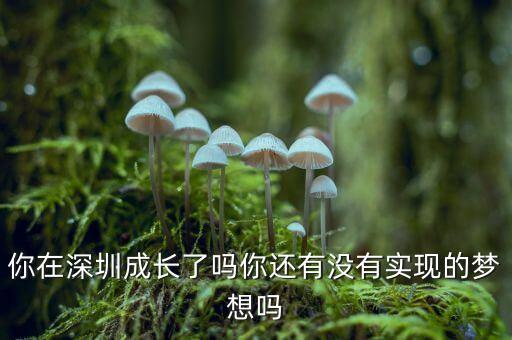 你在深圳成長了嗎你還有沒有實現(xiàn)的夢想嗎