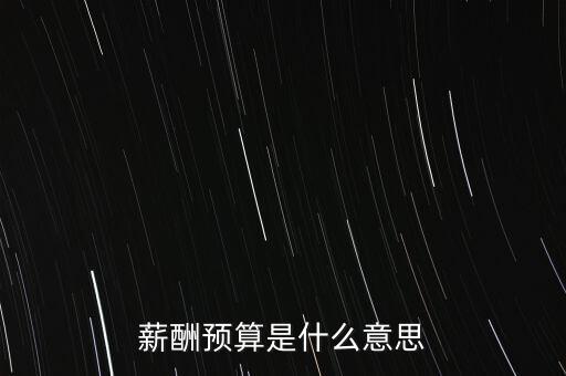 薪酬預(yù)算是什么意思