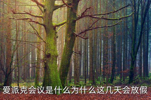 愛(ài)派克會(huì)議是什么，老板墨水851碳素會(huì)堵筆嗎會(huì)臟筆頭嗎老板黑墨水非碳素黑不黑