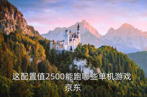 這配置值2500能跑哪些單機游戲 京東