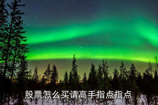 股票怎么買(mǎi)請(qǐng)高手指點(diǎn)指點(diǎn)