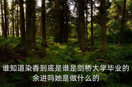 麥肯錫合伙人是什么，誰知道染香到底是誰是劍橋大學(xué)畢業(yè)的余進嗎她是做什么的