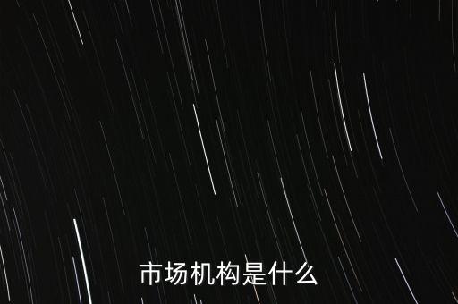 市場(chǎng)機(jī)構(gòu)是什么