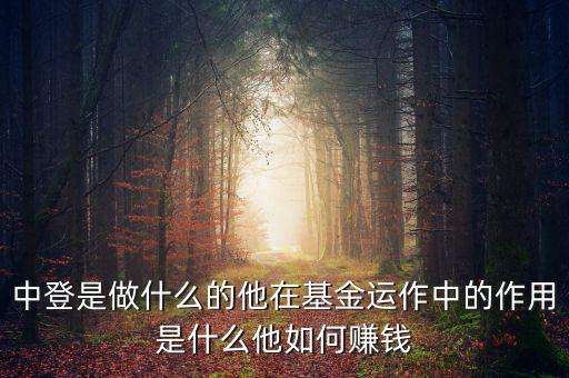 中登是做什么的他在基金運作中的作用是什么他如何賺錢