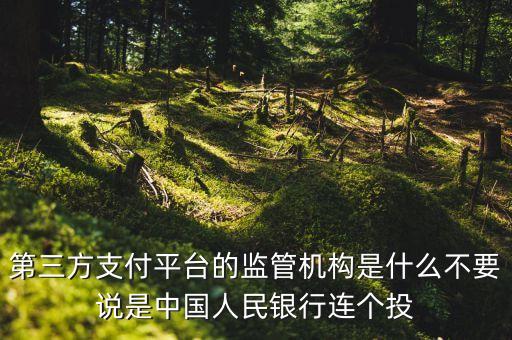 第三方支付平臺(tái)由什么機(jī)構(gòu)授權(quán)，第三方支付平臺(tái)的監(jiān)管機(jī)構(gòu)是什么不要說(shuō)是中國(guó)人民銀行連個(gè)投