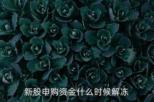 新股什么時候解凍，新股申購資金什么時候解凍