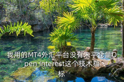 為什么外匯沒有持倉量，我用的MT4外匯平臺沒有未平倉量Open Interest這個技術指標