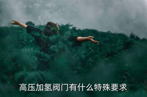 高壓加氫閥門有什么特殊要求