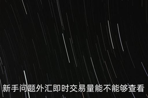 新手問題外匯即時交易量能不能夠查看
