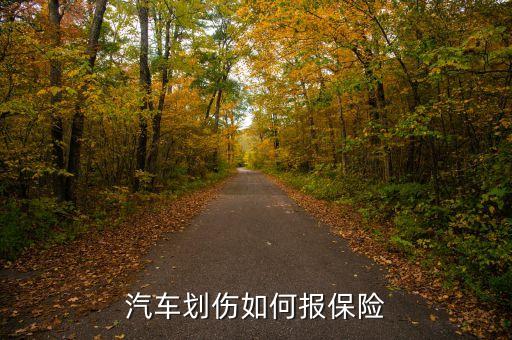 車受傷什么程度報(bào)保險(xiǎn)好，車損多少報(bào)保險(xiǎn)合算