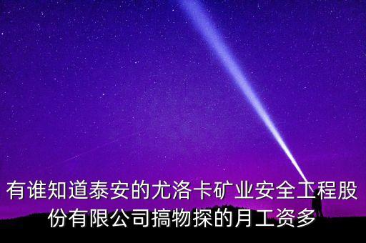 有誰(shuí)知道泰安的尤洛卡礦業(yè)安全工程股份有限公司搞物探的月工資多