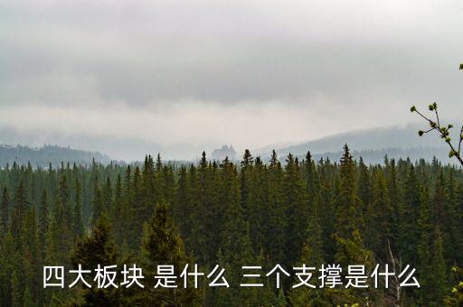 四大板塊 是什么 三個支撐是什么