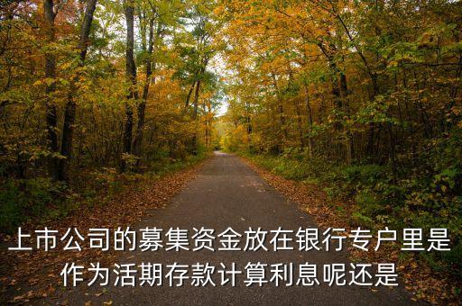 上市公司的募集資金放在銀行專戶里是作為活期存款計(jì)算利息呢還是