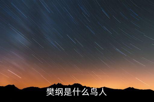 樊綱是什么鳥人，那些唱歌的明星是什么鳥人他門有什么用嗎
