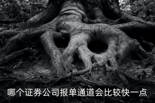 哪個(gè)證券公司報(bào)單通道會(huì)比較快一點(diǎn)