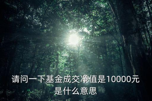 成交凈值是什么意思，成交凈值是什么意思